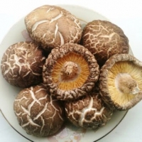 香菇料理食譜-四道養生香菇做法料理:香菇功效增強身體免疫力!