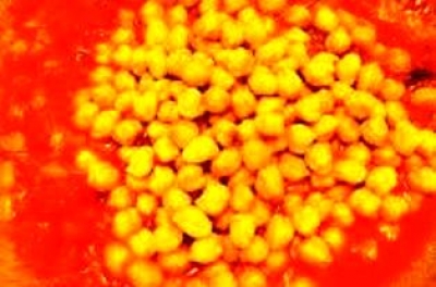 素食雪蓮子鷹嘴豆料理食譜-二道超簡單鷹嘴豆做法料理:鷹嘴豆蛋白質高是素食者極佳營養來源!