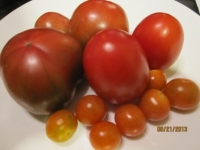 番茄-番茄營養價值高：常吃番茄治夜盲症，番茄更有防癌抗癌功效！
