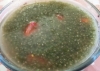 奇異籽蔬菜濃湯食譜-健康奇異子蔬菜濃湯料理:養生奇異子蔬菜濃湯吃出健康喔!