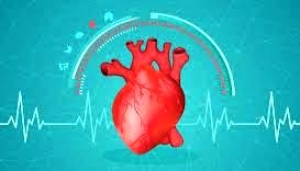 保護健康心臟常識-日常養護心臟的要訣:有心煩心悸氣短&amp;呼吸有壓力感的朋友可試試看!