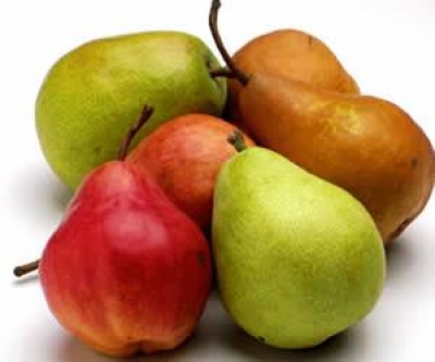 鴨梨營養價值&amp;鴨梨的功效與作用:六種鴨梨的營養&amp;三種鴨梨的功效與作用!