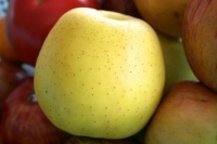蘋果料理食譜-六道蘋果料理&蘋果吃法:蘋果生吃蘋果熟吃功效各不同,蘋果糯米粥可減輕腹瀉症狀!