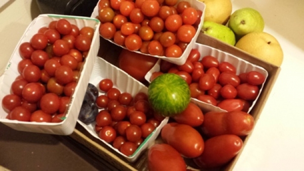 番茄-番茄營養素&amp;四大番茄好處:番茄富含茄紅素抗氧化功效延緩老化!